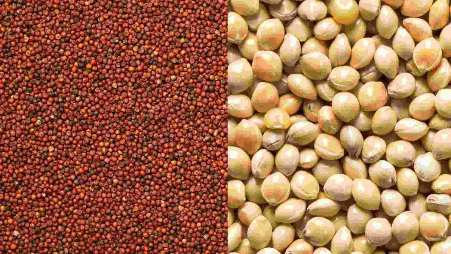 tamyn-knndh-arzn-ba-kyfyt-bala