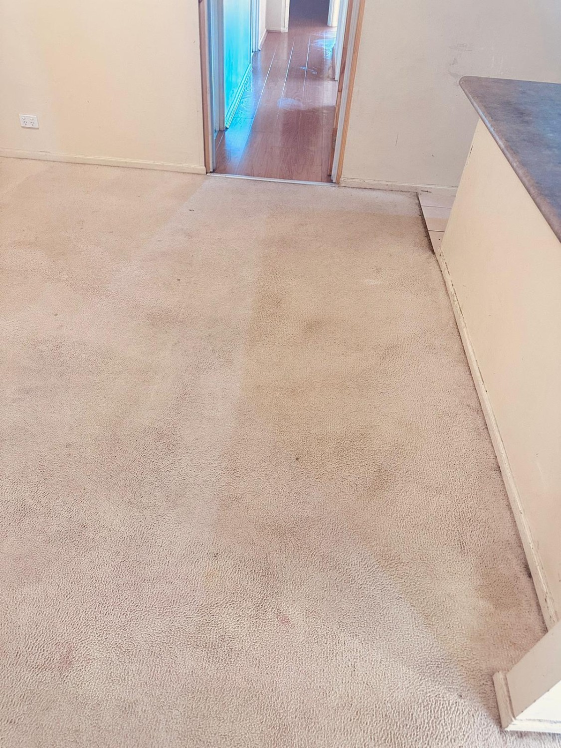 remove-rigid-grime-and-filth-with-holistic-carpet-cleaning-services-near-me