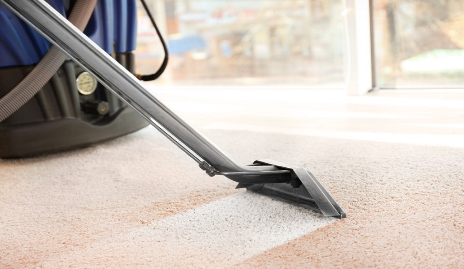 professional-carpet-cleaning-services-in-sydney-everdry