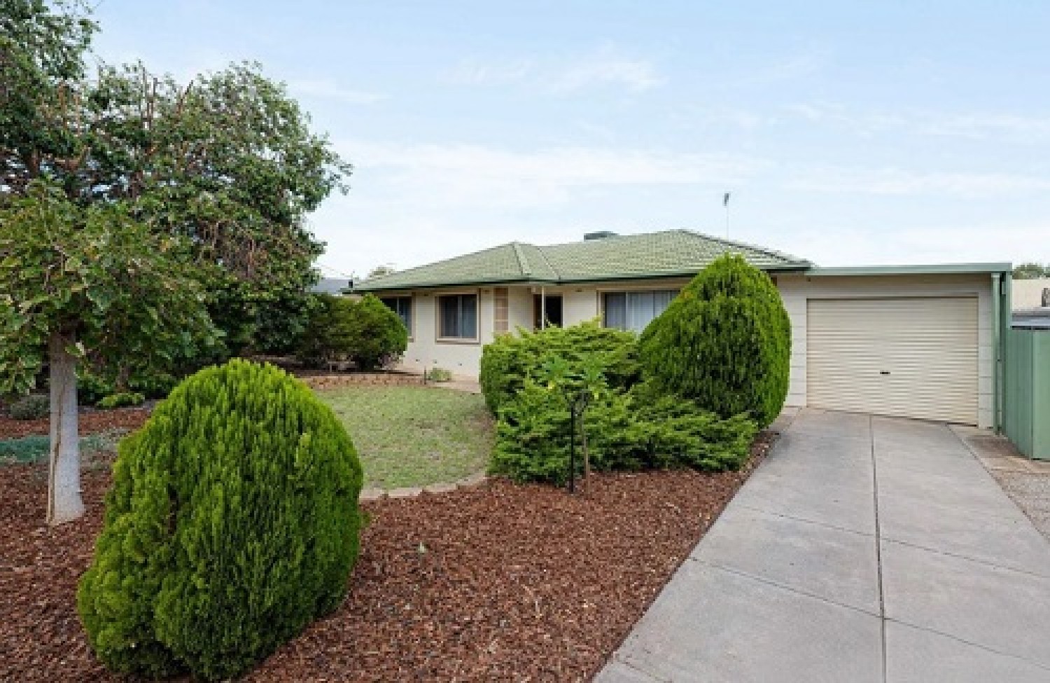 ray-white-tea-tree-gully-the-best-local-property-expert-near-me