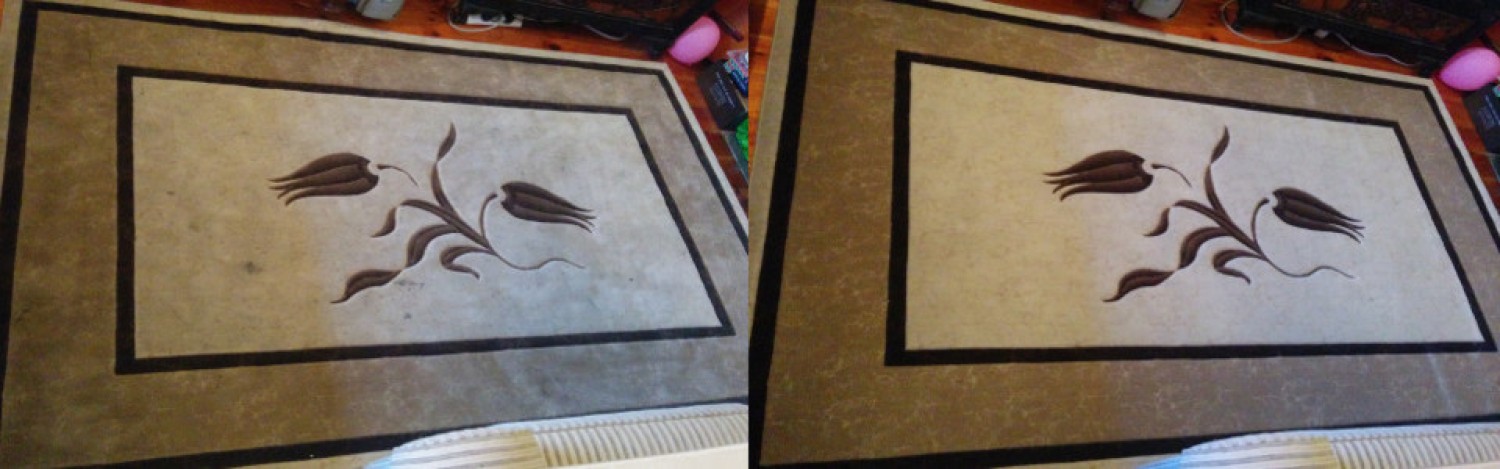 say-goodbye-to-stains-with-dry-carpet-clean-in-adelaide