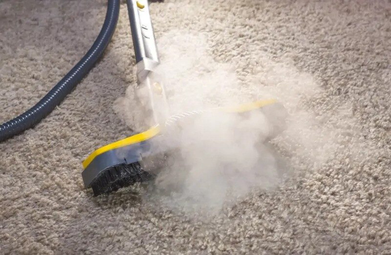 carpet-steam-cleaning-specialist-adelaide