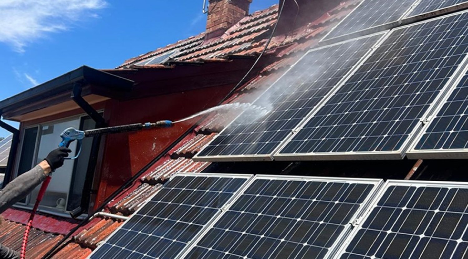 prevent-costly-repairs-due-to-moss-or-algae-growth-with-holistic-roof-cleaning-sa