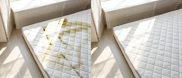 deep-mattress-cleaning-sanitization-ezydry-experts