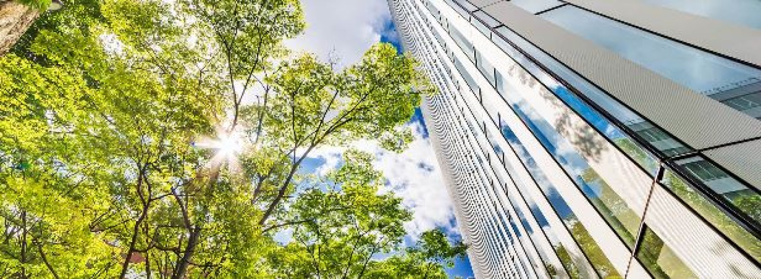 call-beyond-procurement-ltd-to-know-the-carbon-reduction-plan