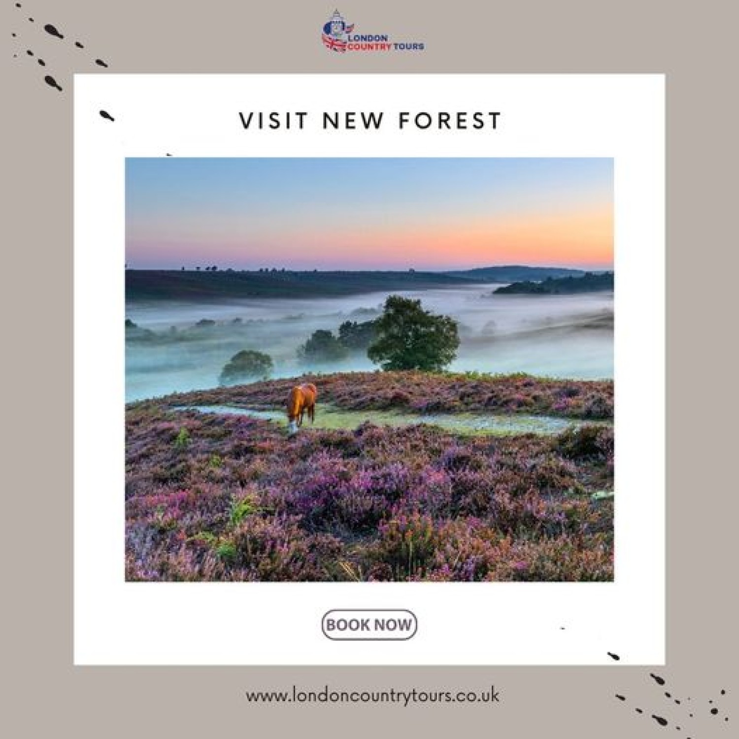 cherish-the-timeless-stopovers-of-big-ben-tower-bridge-and-more-with-private-london-tours