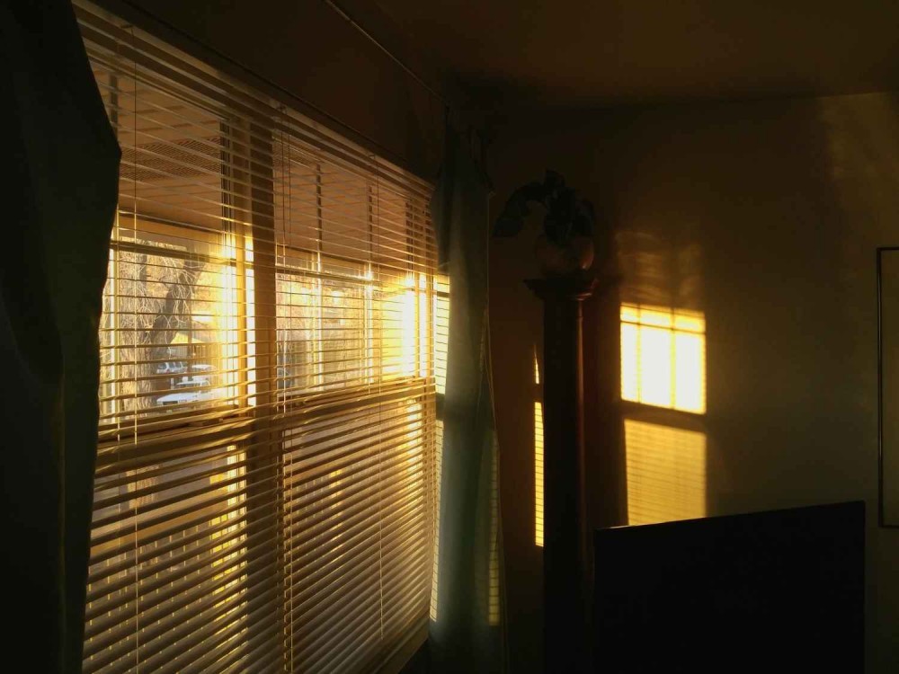 premium-blackout-blinds-in-leeds-for-the-ultimate-nights-sleep