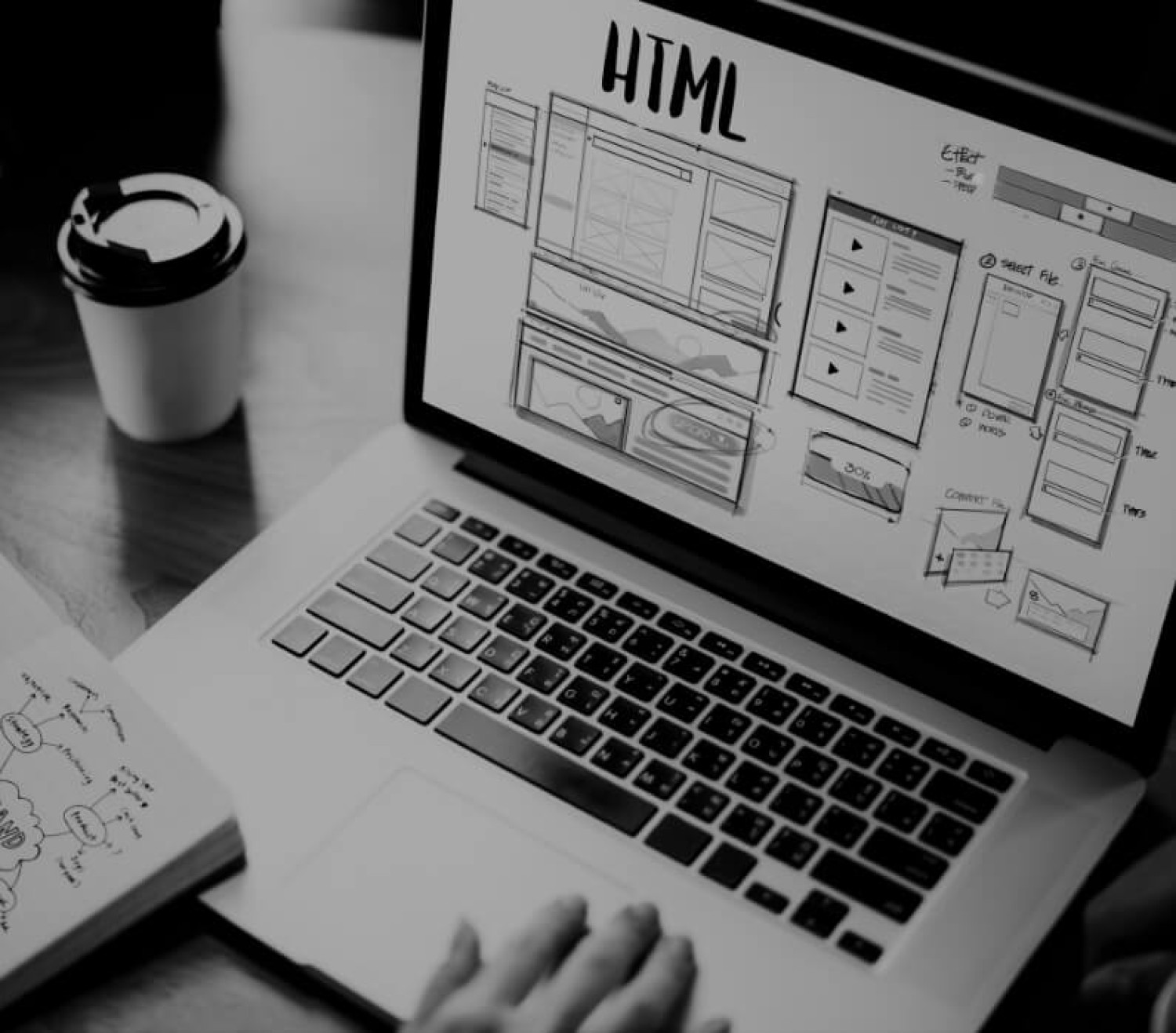 top-web-design-compant-in-noida