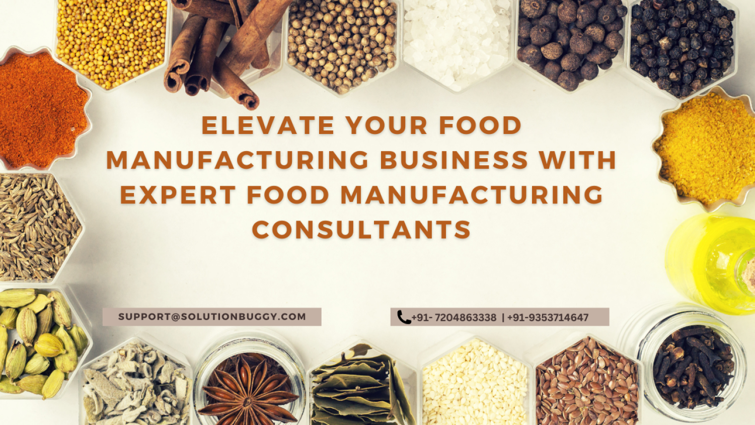 food-manufacturing-consultants