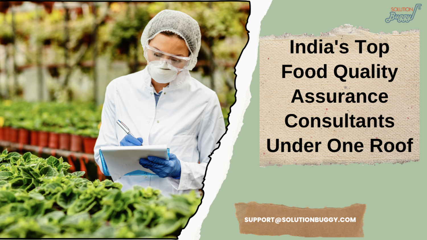 food-safety-management