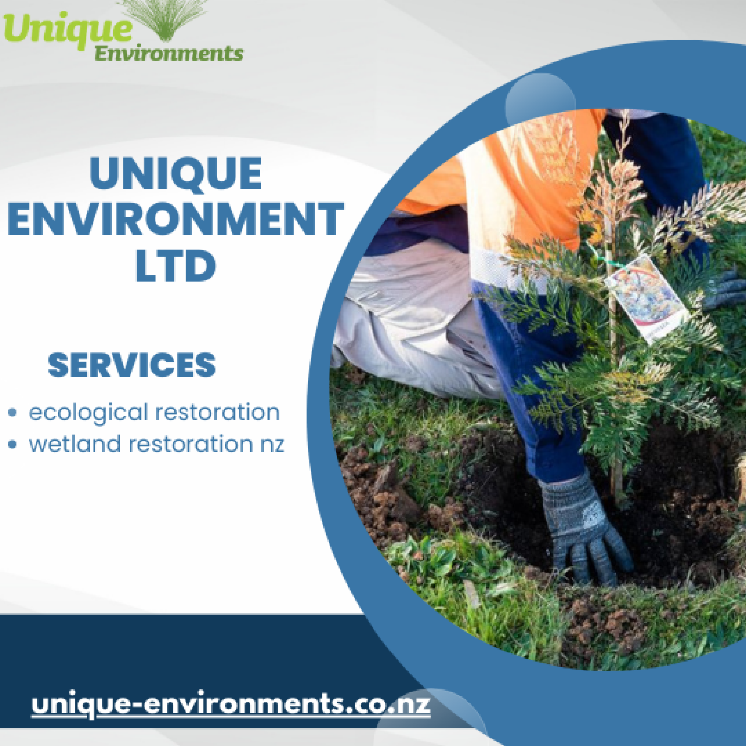 preserving-natures-sanctuary-wetland-restoration-efforts-in-new-zealand