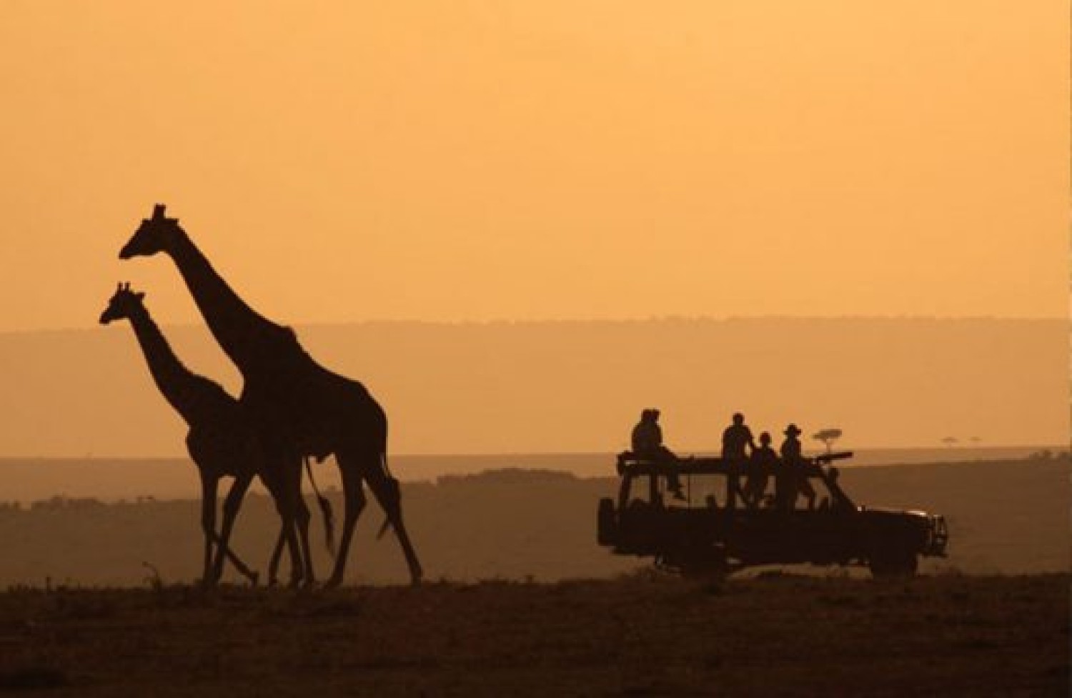 kenyatanzaniasafari-kenya-safari-tour-operators