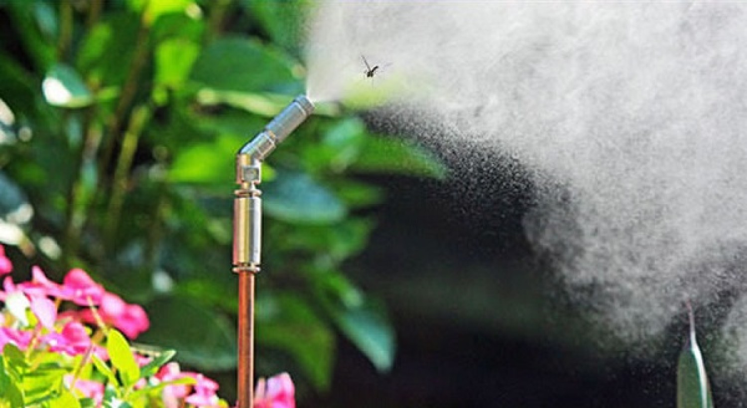 mosquito-mist-concentrate