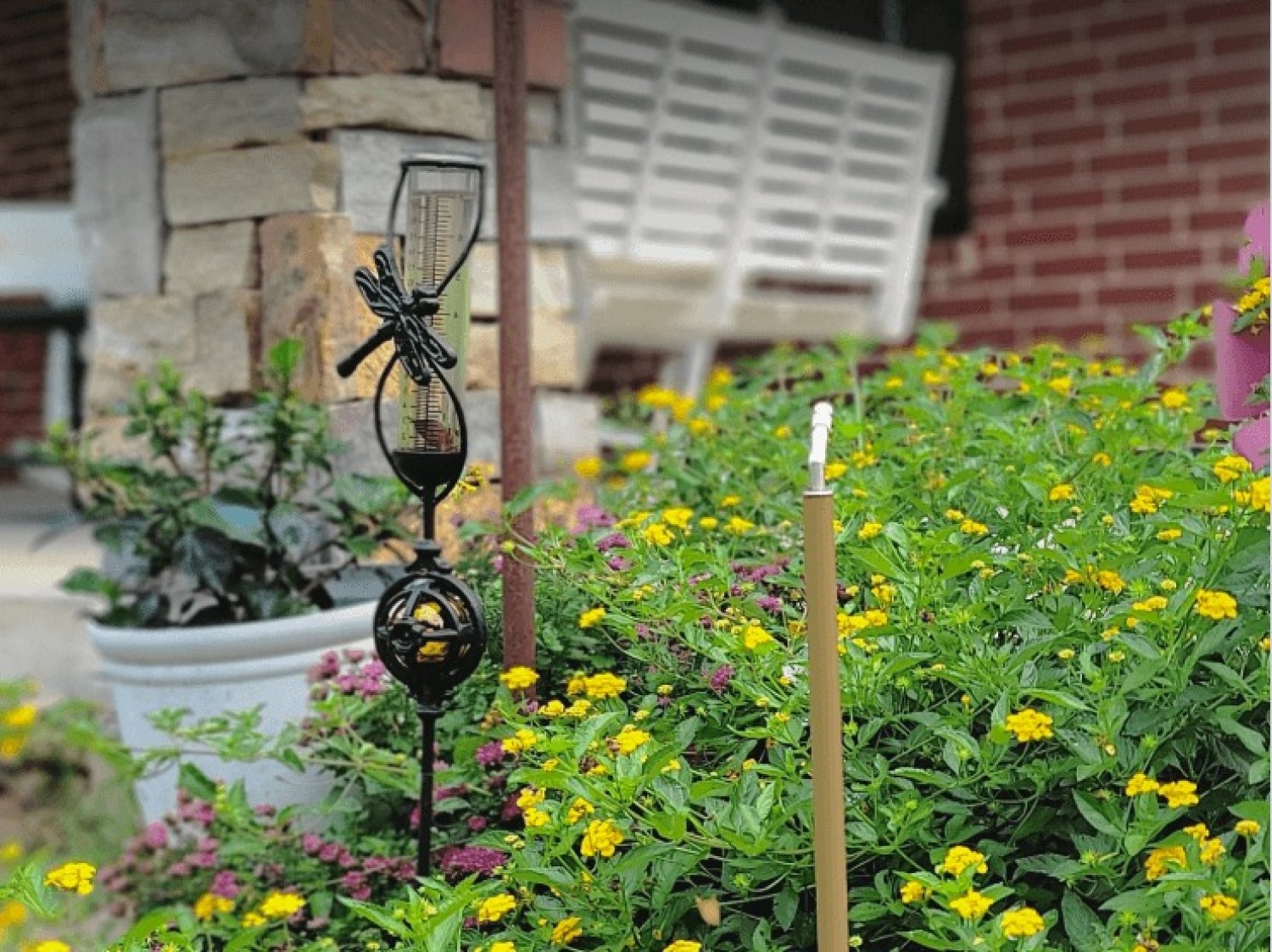 mosquito-misters-systems