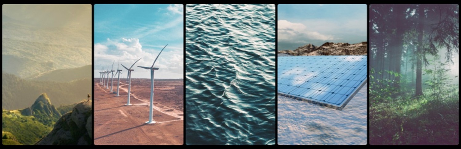 eco-business-directory-sustainable-business-directory