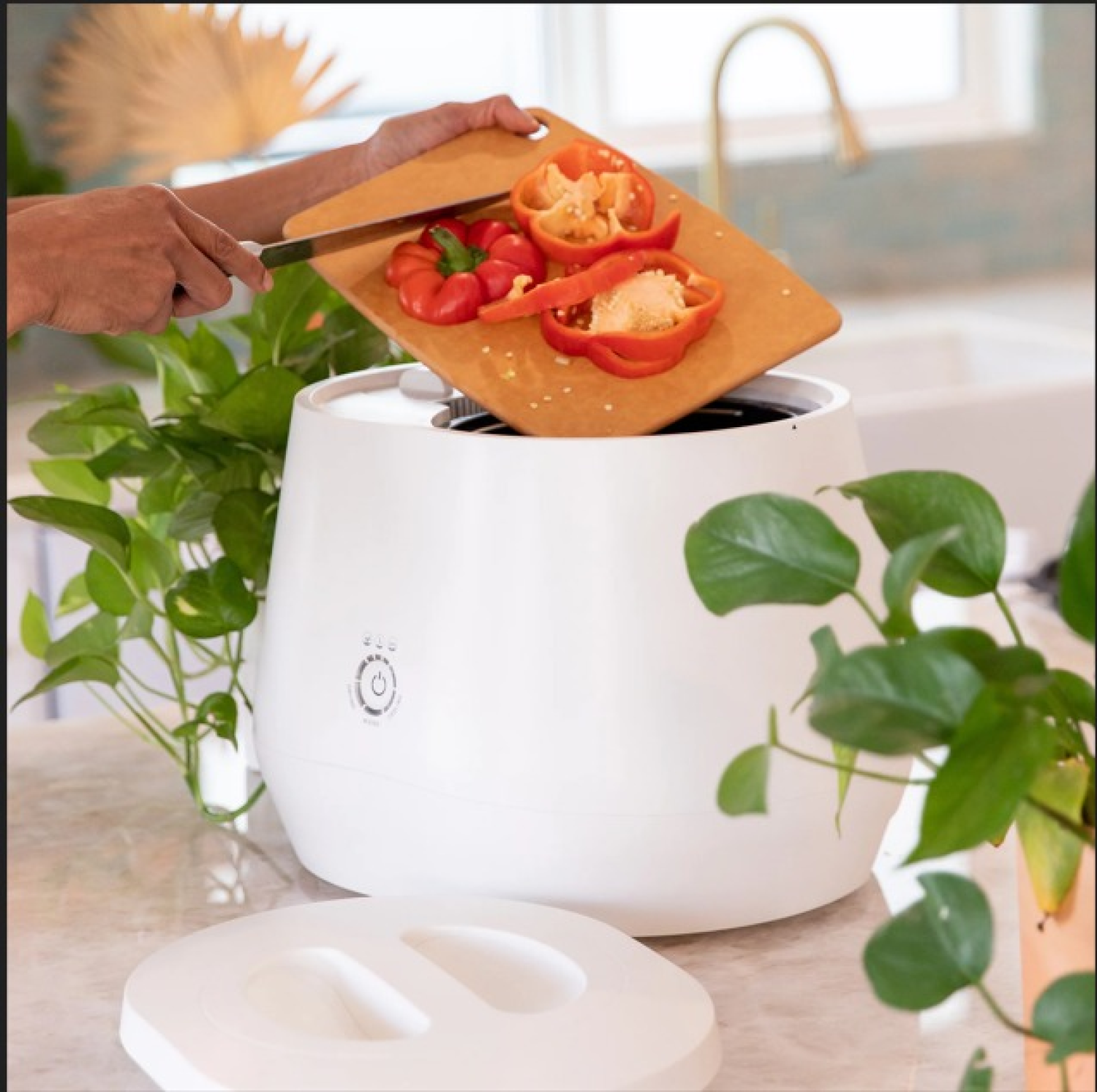 electric-food-composter