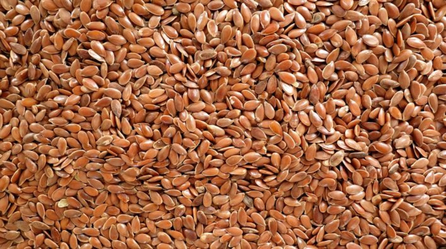 stay-health-conscious-with-high-quality-flaxseeds-supplies