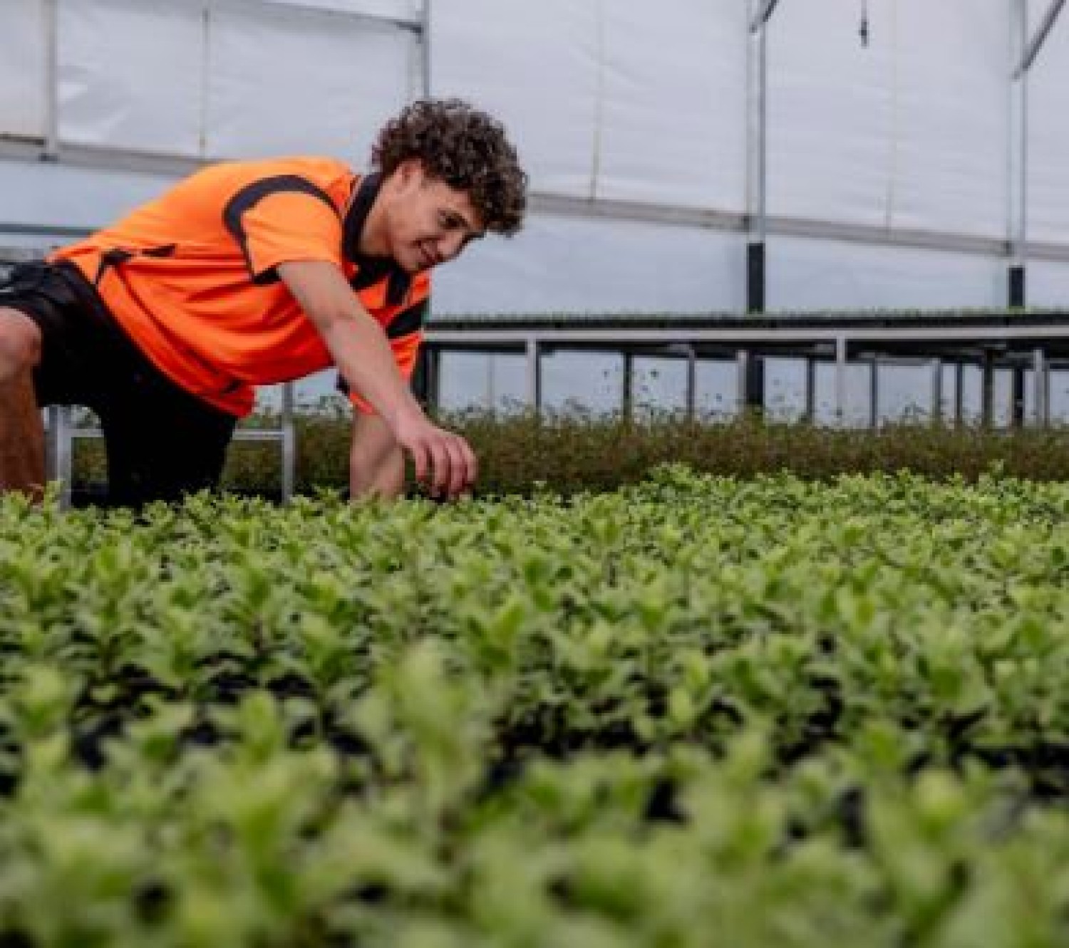 nursery-inventory-management