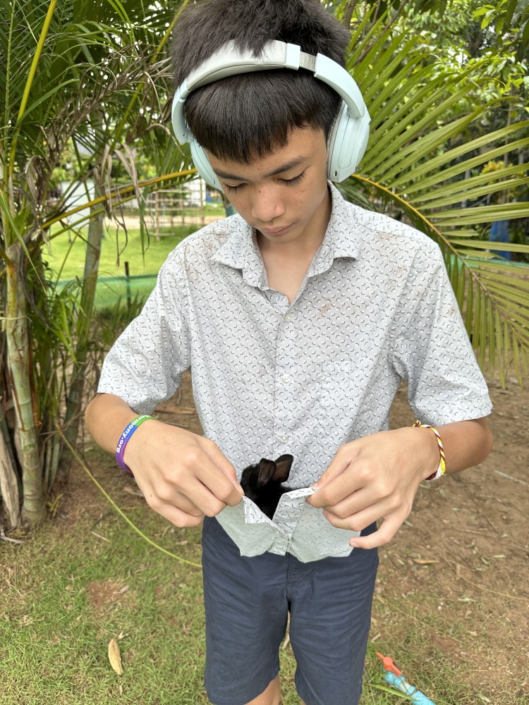 property-for-sale-big-2