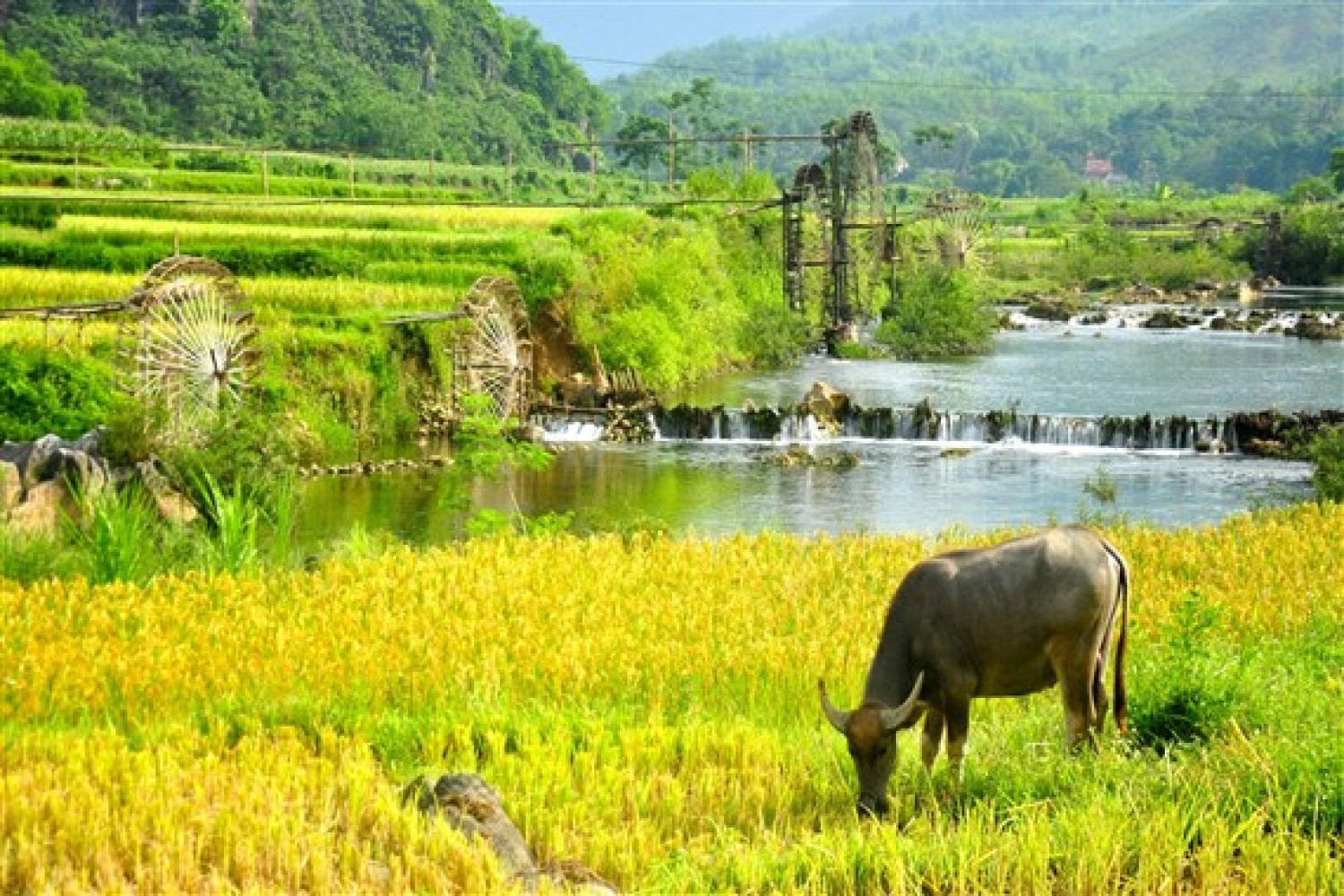 grab-the-best-vietnam-tour-deal-with-just-a-click